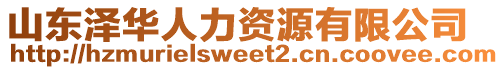 山東澤華人力資源有限公司