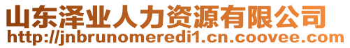 山東澤業(yè)人力資源有限公司