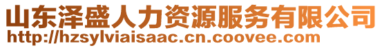 山東澤盛人力資源服務有限公司