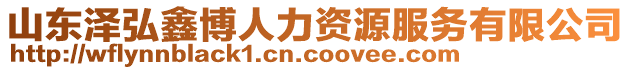 山東澤弘鑫博人力資源服務(wù)有限公司