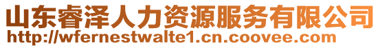 山東睿澤人力資源服務(wù)有限公司