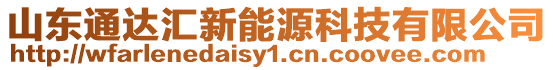 山東通達(dá)匯新能源科技有限公司