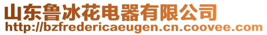 山東魯冰花電器有限公司