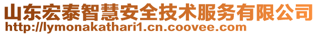 山東宏泰智慧安全技術服務有限公司