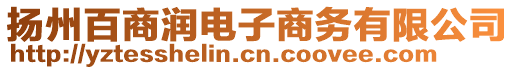 揚州百商潤電子商務有限公司