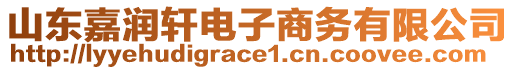 山東嘉潤軒電子商務(wù)有限公司