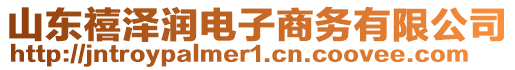 山東禧澤潤電子商務有限公司