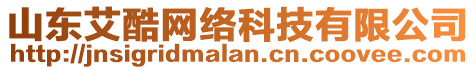 山東艾酷網絡科技有限公司