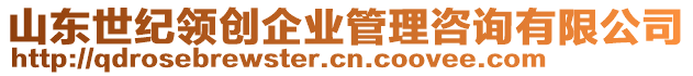 山東世紀(jì)領(lǐng)創(chuàng)企業(yè)管理咨詢有限公司