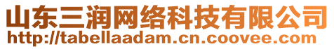 山東三潤網(wǎng)絡(luò)科技有限公司