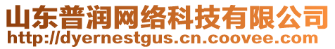 山東普潤(rùn)網(wǎng)絡(luò)科技有限公司