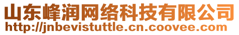 山東峰潤網(wǎng)絡(luò)科技有限公司