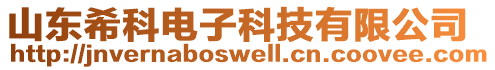 山東希科電子科技有限公司