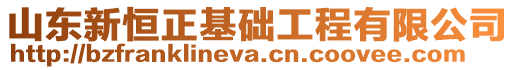 山東新恒正基礎工程有限公司