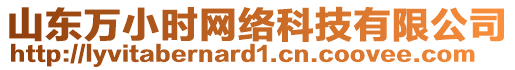 山東萬(wàn)小時(shí)網(wǎng)絡(luò)科技有限公司