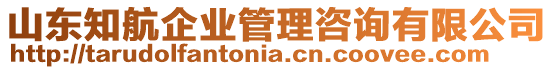 山東知航企業(yè)管理咨詢有限公司