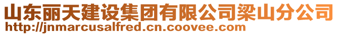 山東麗天建設(shè)集團有限公司梁山分公司