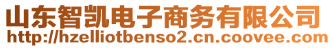 山東智凱電子商務(wù)有限公司