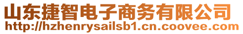 山東捷智電子商務(wù)有限公司