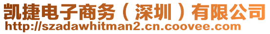 凱捷電子商務(wù)（深圳）有限公司