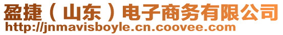 盈捷（山東）電子商務有限公司