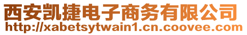 西安凱捷電子商務(wù)有限公司