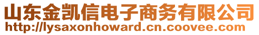 山東金凱信電子商務有限公司