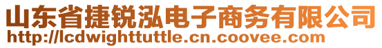 山東省捷銳泓電子商務有限公司