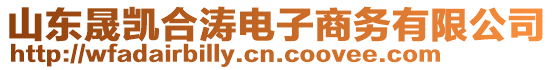 山東晟凱合濤電子商務(wù)有限公司