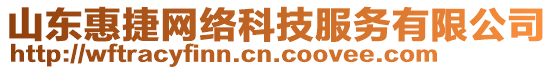 山東惠捷網絡科技服務有限公司
