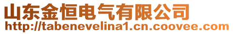 山東金恒電氣有限公司