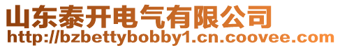 山東泰開電氣有限公司