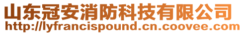 山東冠安消防科技有限公司