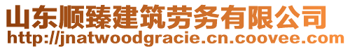山東順臻建筑勞務有限公司