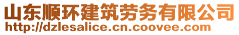 山東順環(huán)建筑勞務(wù)有限公司