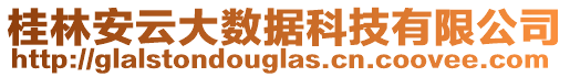 桂林安云大數(shù)據(jù)科技有限公司