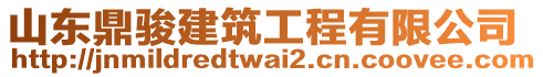 山東鼎駿建筑工程有限公司