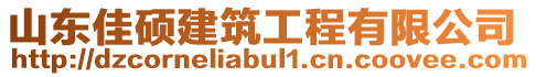 山東佳碩建筑工程有限公司