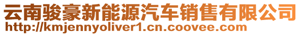 云南骏豪新能源汽车销售有限公司