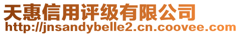 天惠信用評(píng)級(jí)有限公司