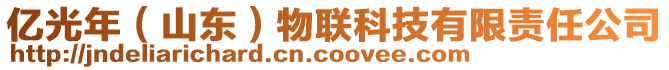 億光年（山東）物聯(lián)科技有限責(zé)任公司