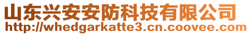 山東興安安防科技有限公司