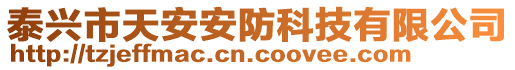 泰興市天安安防科技有限公司