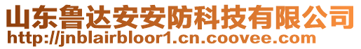 山東魯達(dá)安安防科技有限公司