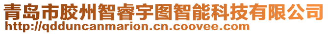 青島市膠州智睿宇圖智能科技有限公司