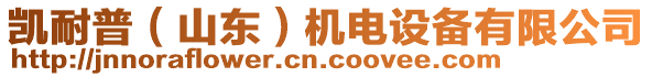 凱耐普（山東）機(jī)電設(shè)備有限公司