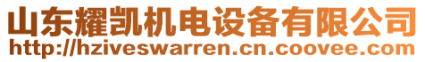 山東耀凱機(jī)電設(shè)備有限公司