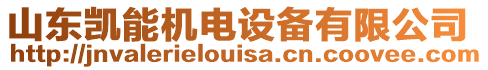 山東凱能機電設(shè)備有限公司