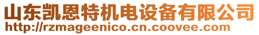 山東凱恩特機電設備有限公司