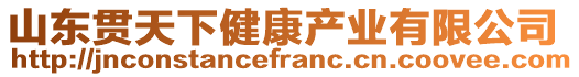 山東貫天下健康產(chǎn)業(yè)有限公司